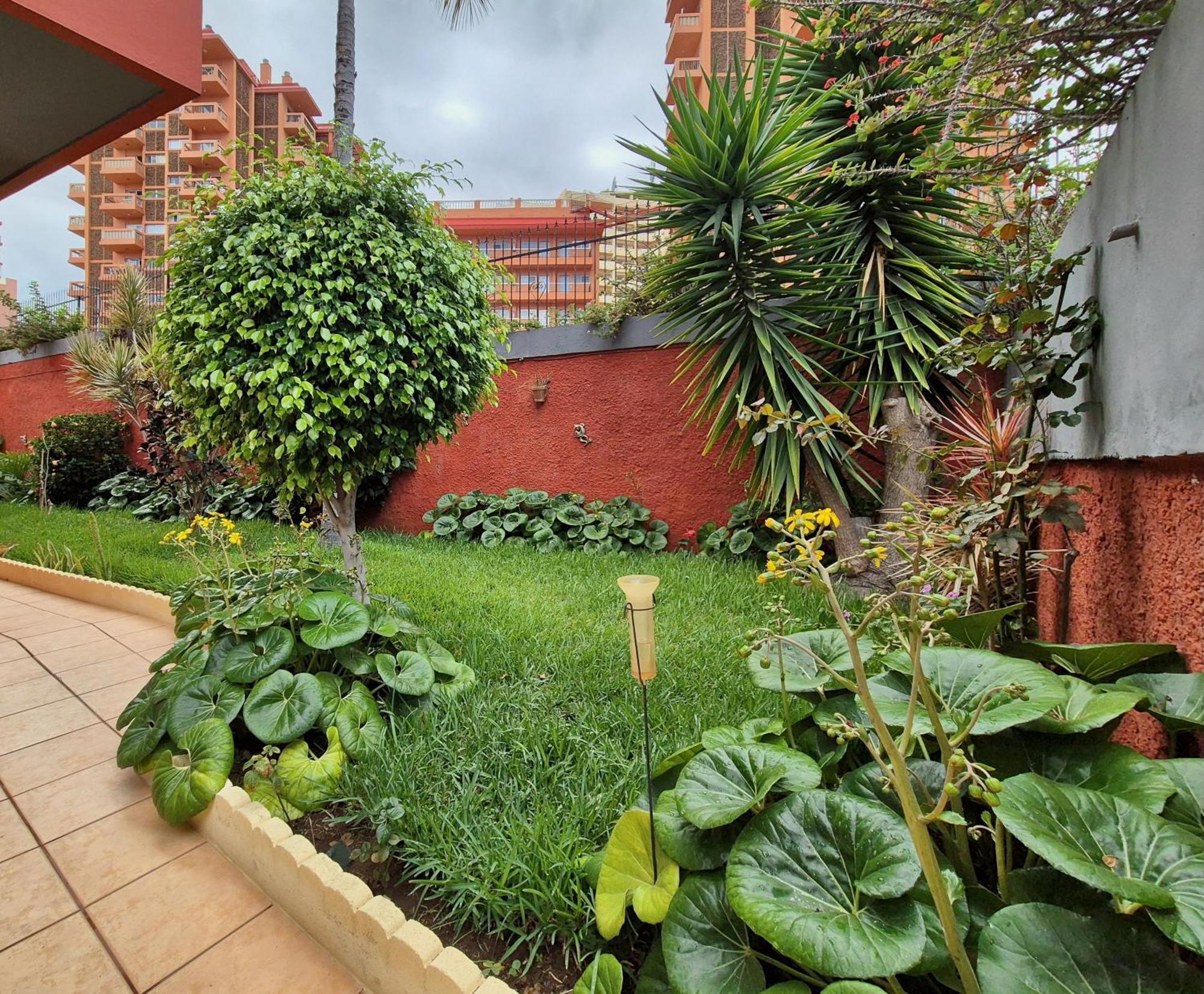 Canaima Apartments Пуэрто-де-ла-Крус Экстерьер фото